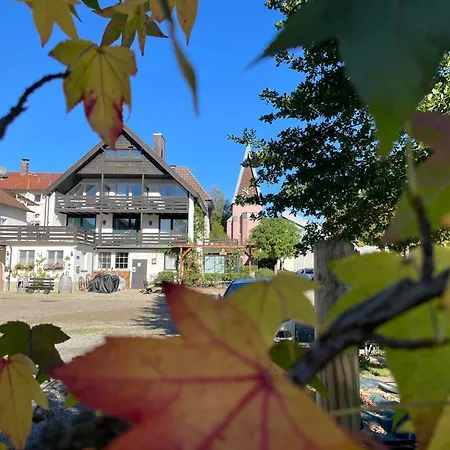 Gasthaus Hirschenstube & Gaestehaus Gehri 3*
