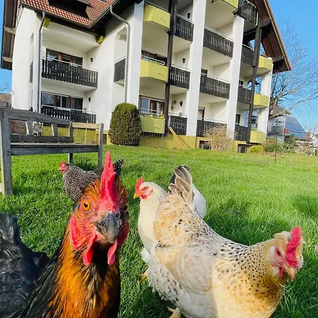 Ξενοδοχείο Hirschenstube & Gaestehaus Gehri 3*