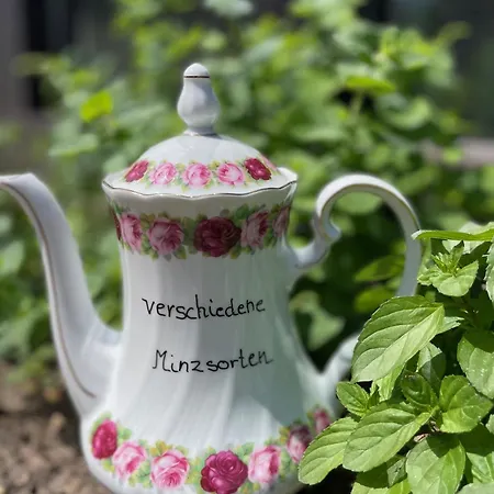 Hirschenstube & Gaestehaus Gehri Waldkirch