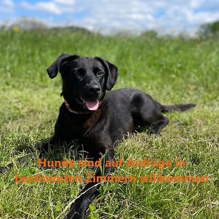 Hirschenstube & Gaestehaus Gehri Szálloda 3*