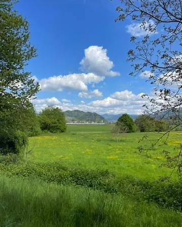 Hirschenstube & Gaestehaus Gehri 3* 발드키르히