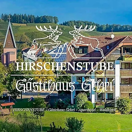 Hirschenstube & Gaestehaus Gehri 酒店 3*