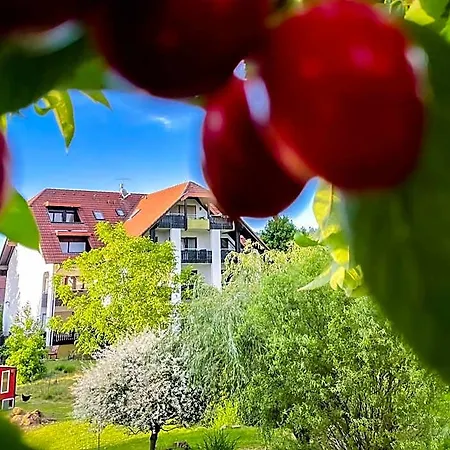 Hirschenstube & Gaestehaus Gehri 3*