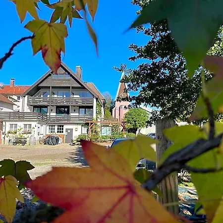 Hirschenstube & Gaestehaus Gehri 발드키르히